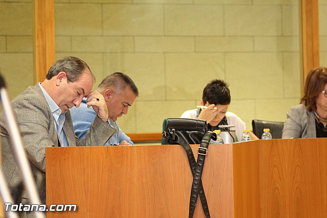 Pleno ordinario octubre 2015 - 20