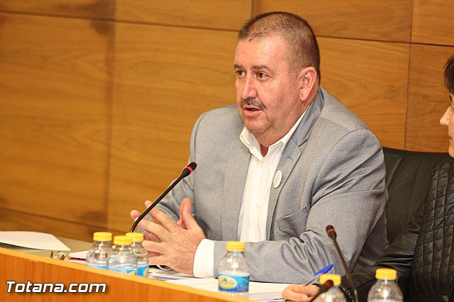 Pleno ordinario octubre 2015 - 29