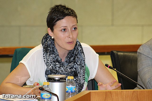 Pleno ordinario octubre 2015 - 34