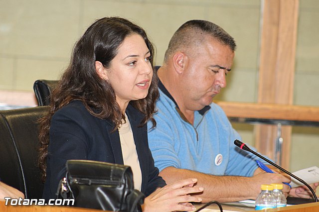 Pleno ordinario octubre 2015 - 41