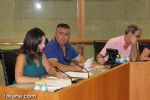 Pleno Julio 2015