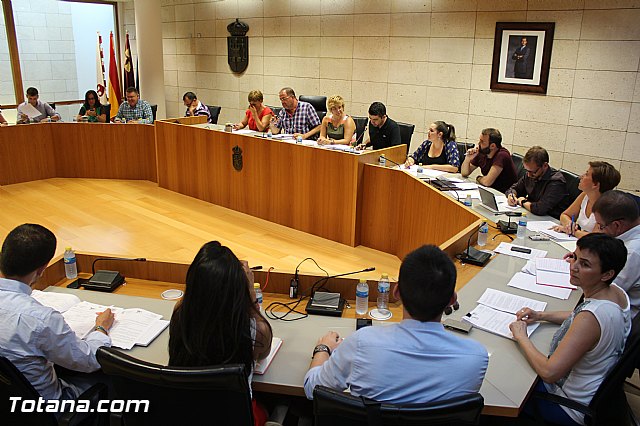 Pleno ordinario Julio 2015 - 1
