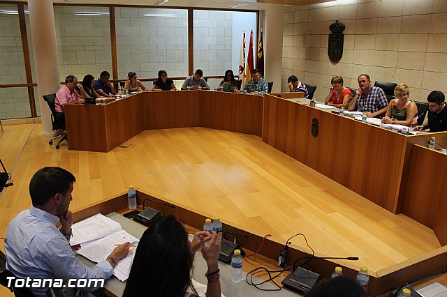 Pleno ordinario Julio 2015 - 2