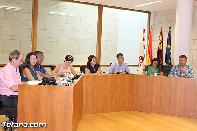 Pleno ordinario Julio 2015 - 6