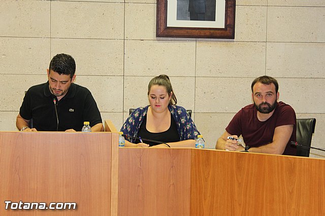 Pleno ordinario Julio 2015 - 8