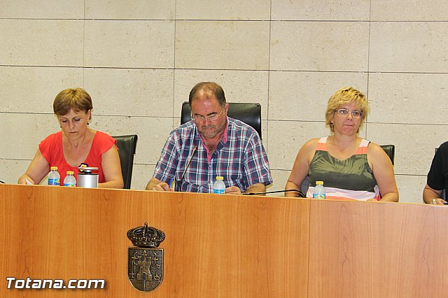Pleno ordinario Julio 2015 - 9