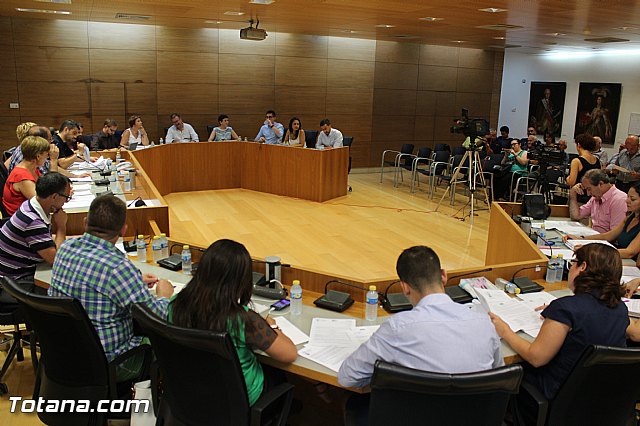 Pleno ordinario Julio 2015 - 15