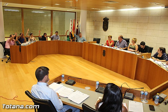 Pleno ordinario Julio 2015 - 22