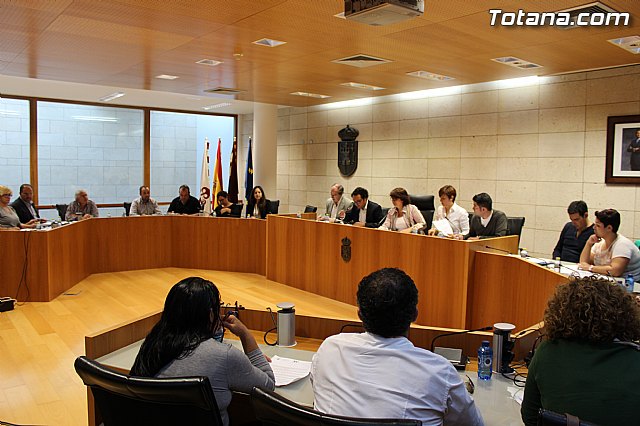 Pleno ordinario octubre 2014 - 1