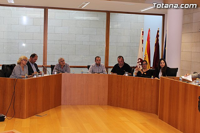 Pleno ordinario octubre 2014 - 6