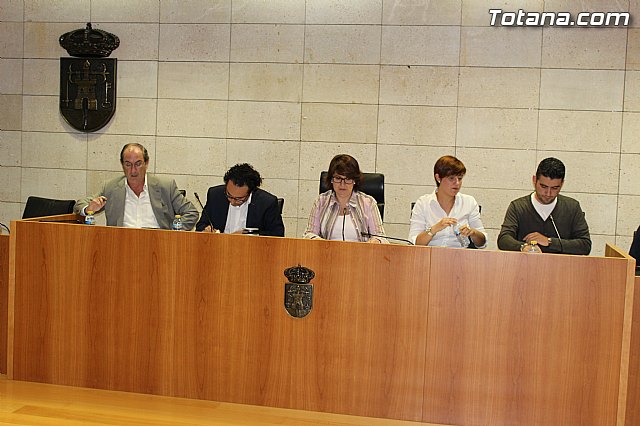 Pleno ordinario octubre 2014 - 8