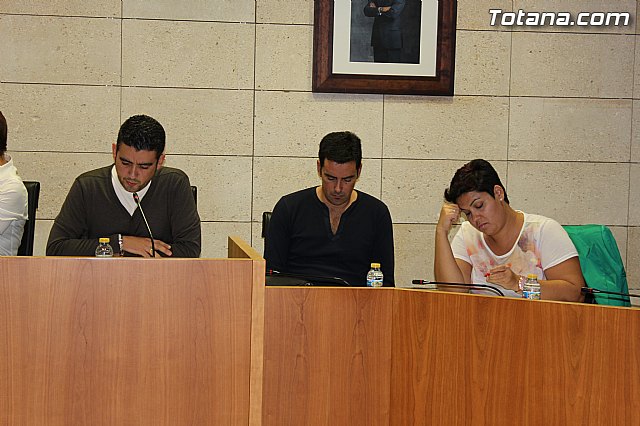 Pleno ordinario octubre 2014 - 9