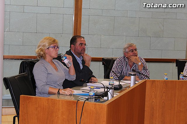 Pleno ordinario octubre 2014 - 11