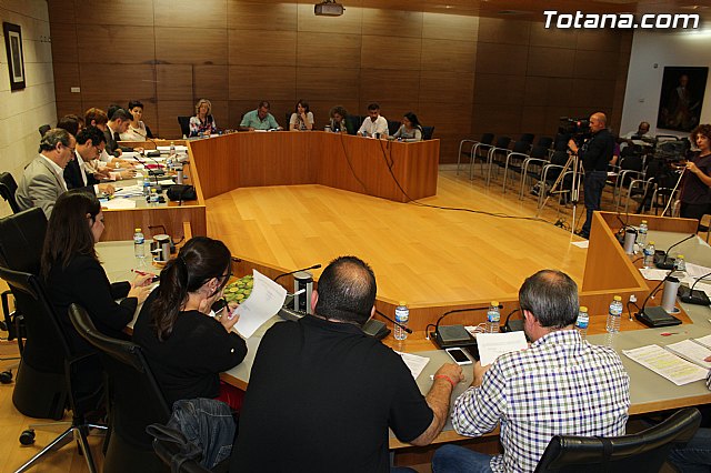 Pleno ordinario octubre 2014 - 15