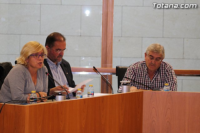 Pleno ordinario octubre 2014 - 17