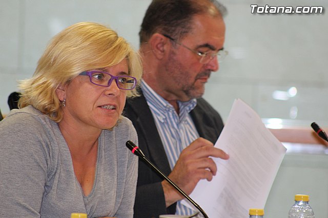 Pleno ordinario octubre 2014 - 18