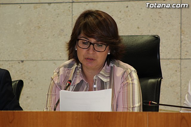 Pleno ordinario octubre 2014 - 22