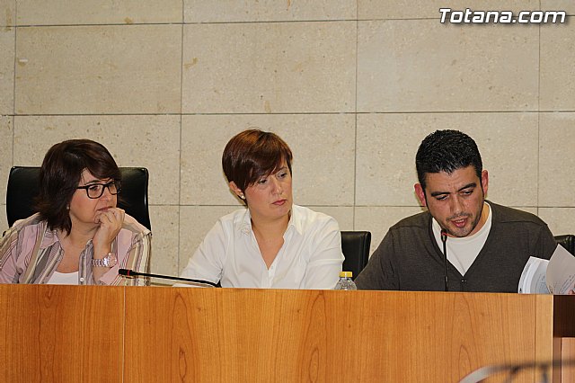 Pleno ordinario octubre 2014 - 24