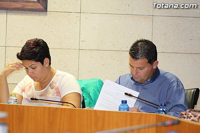 Pleno ordinario octubre 2014 - 32