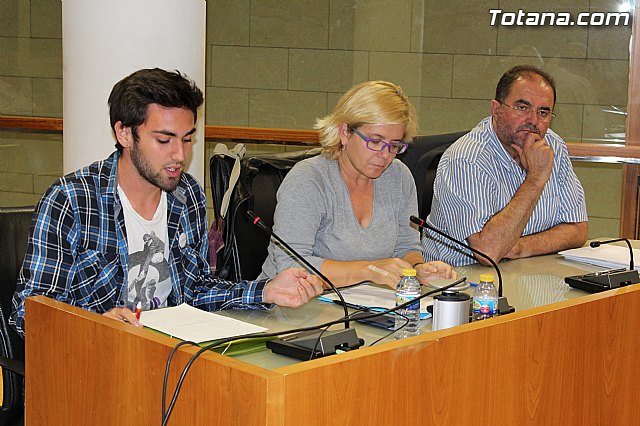 Pleno ordinario octubre 2014 - 37