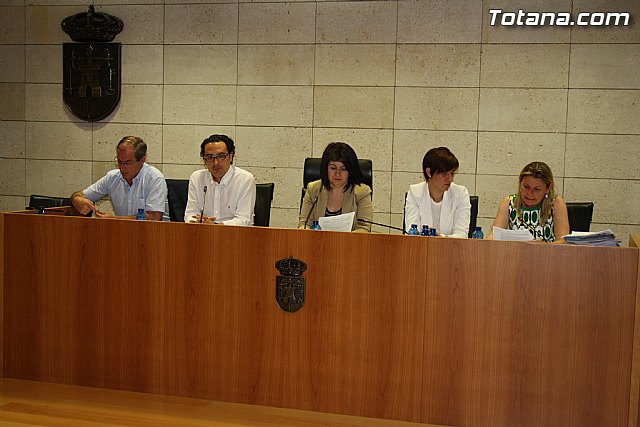 Pleno ordinario mayo 2012 - 2