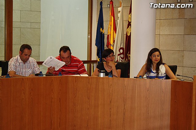 Pleno ordinario mayo 2012 - 4
