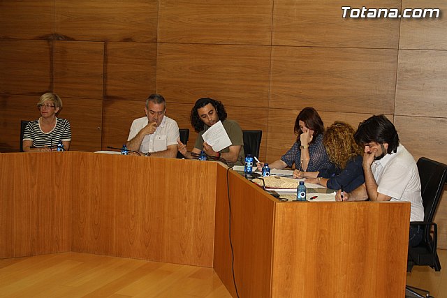 Pleno ordinario mayo 2012 - 6