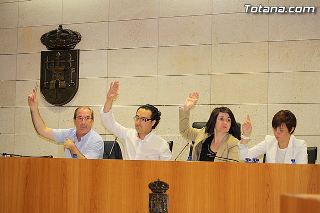 Pleno ordinario mayo 2012 - 11