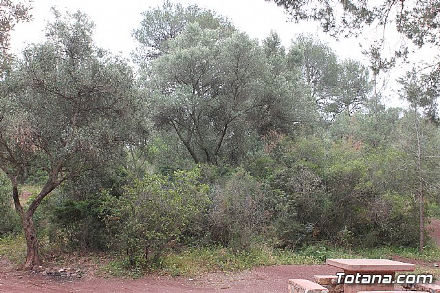 PADISITO. Jornada de convivencia en La Santa 2013 - 5