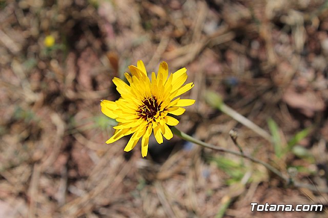 PADISITO. Jornada de convivencia en La Santa 2013 - 53