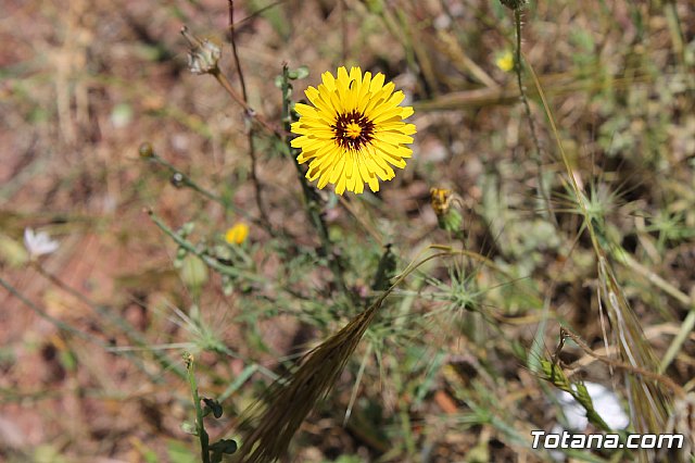 PADISITO. Jornada de convivencia en La Santa 2013 - 54