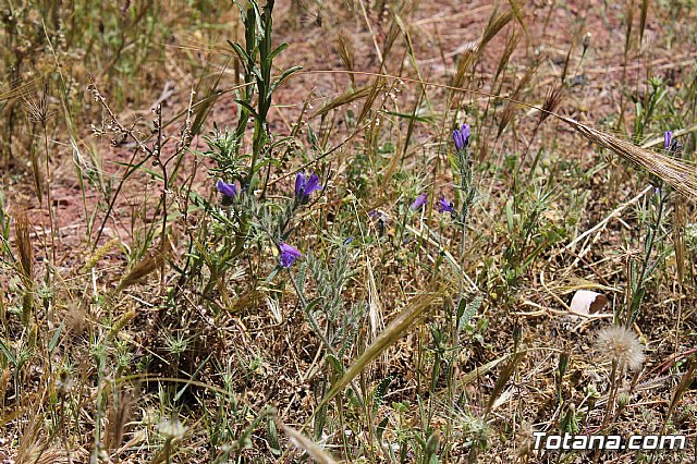 PADISITO. Jornada de convivencia en La Santa 2013 - 55