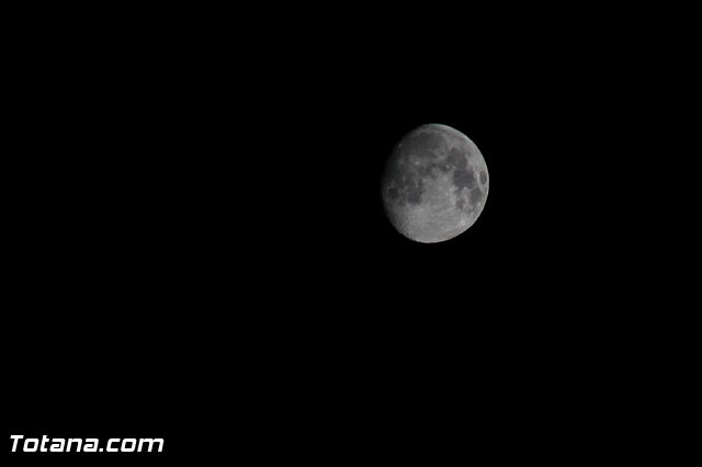 V PADISITO FESTIVAL  - 132