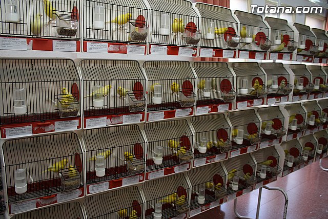 IX exposicin ornitolgica 