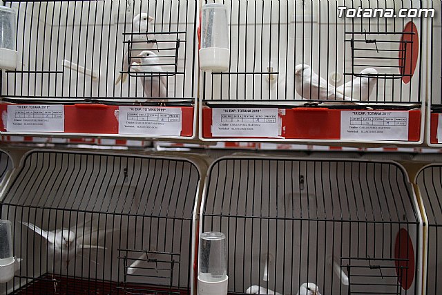 IX exposicin ornitolgica 