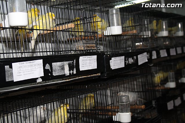 IX exposicin ornitolgica 