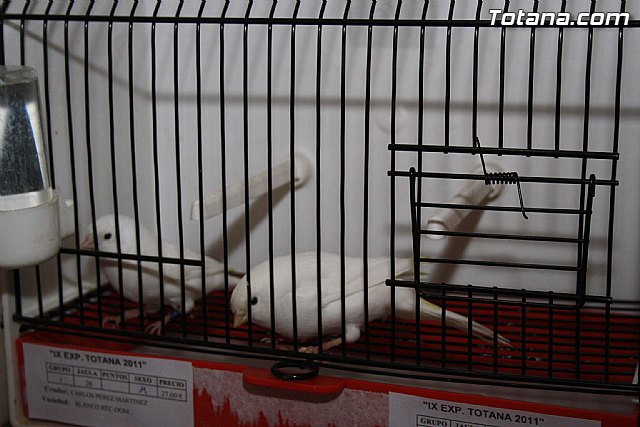 IX exposicin ornitolgica 