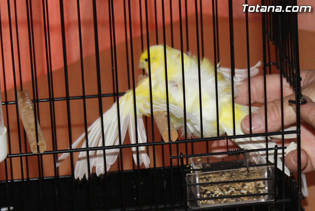 IX exposicin ornitolgica 