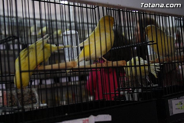 IX exposicin ornitolgica 