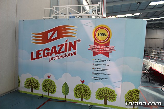 6 Campeonato Ornitolgico Regional Murciano - 5