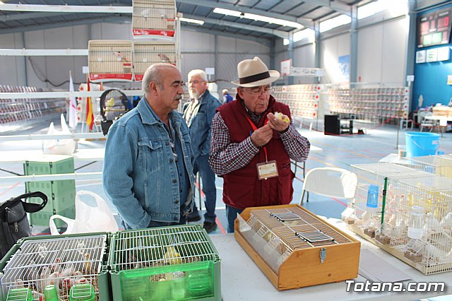 6 Campeonato Ornitolgico Regional Murciano - 9