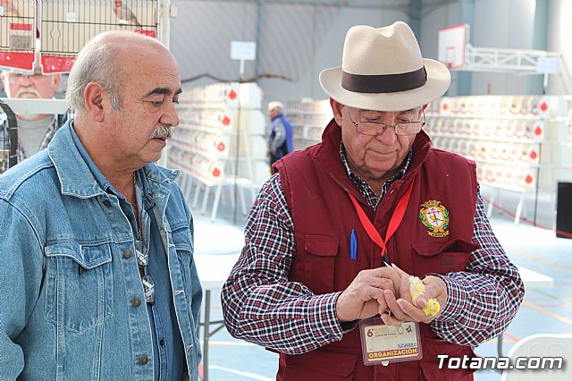 6 Campeonato Ornitolgico Regional Murciano - 10