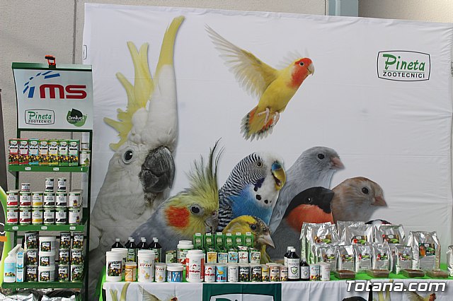 6 Campeonato Ornitolgico Regional Murciano - 22