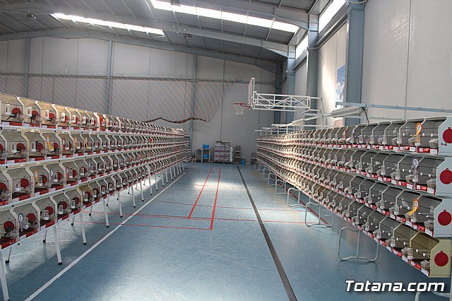 6 Campeonato Ornitolgico Regional Murciano - 28