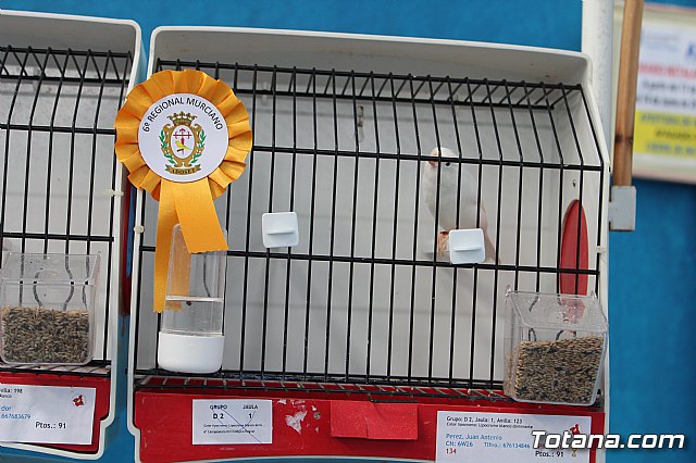 6 Campeonato Ornitolgico Regional Murciano - 29