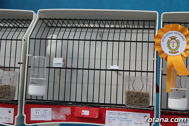 6 Campeonato Ornitolgico Regional Murciano - 30