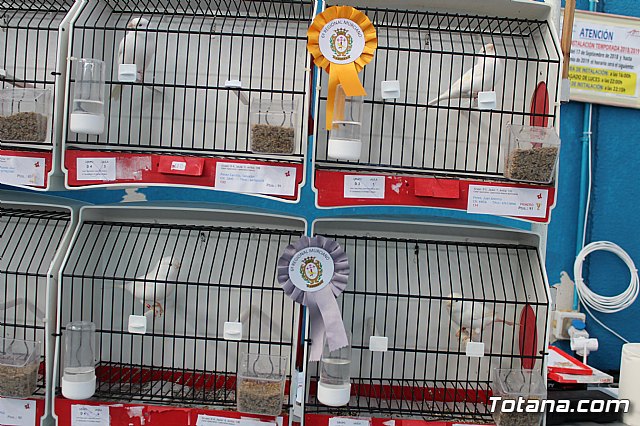 6 Campeonato Ornitolgico Regional Murciano - 31