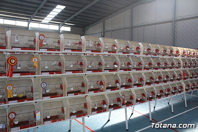 6 Campeonato Ornitolgico Regional Murciano - 48