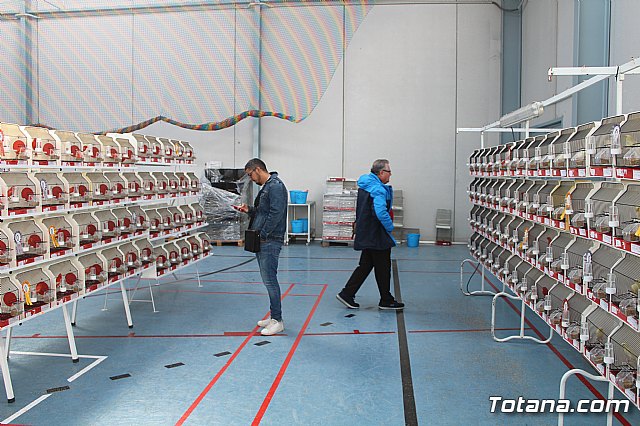 6 Campeonato Ornitolgico Regional Murciano - 53