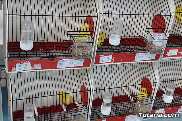 6 Campeonato Ornitolgico Regional Murciano - 54